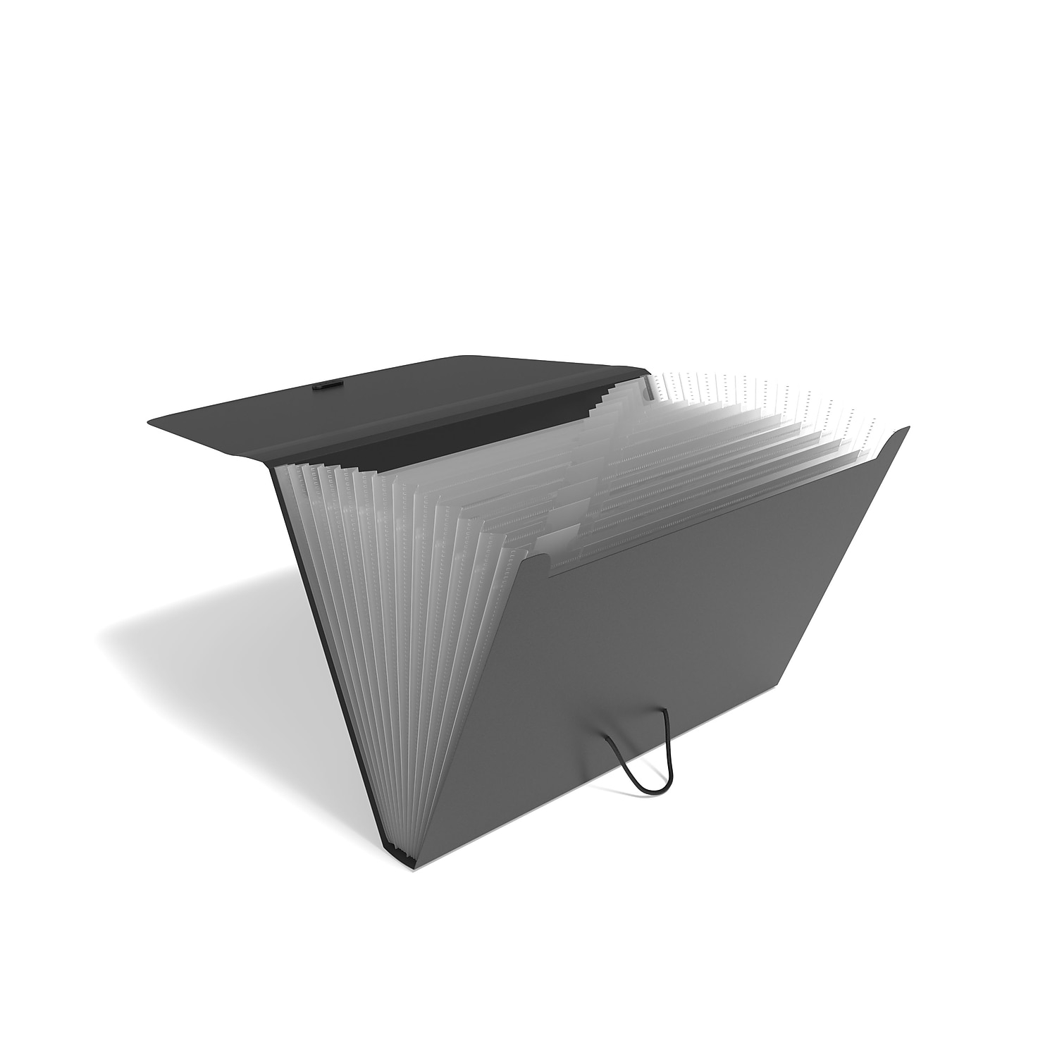 Files - A4 Expanding Organiser/Accordian File - (WHSmith)