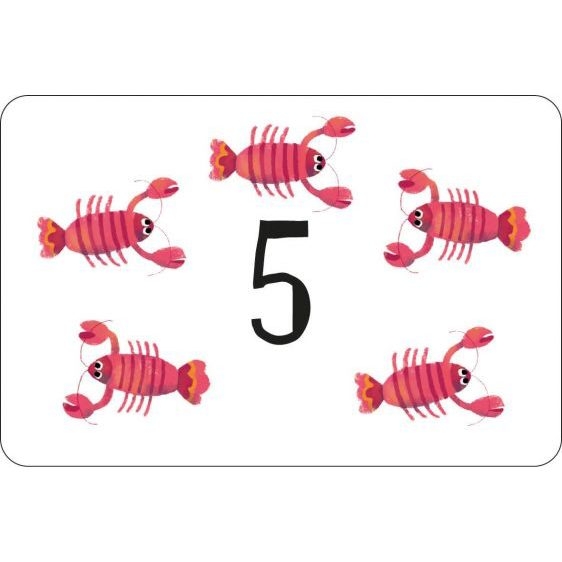 Miles Kelly - Times Tables Flashcards