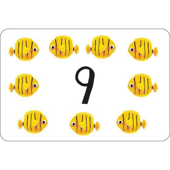 Miles Kelly - Times Tables Flashcards