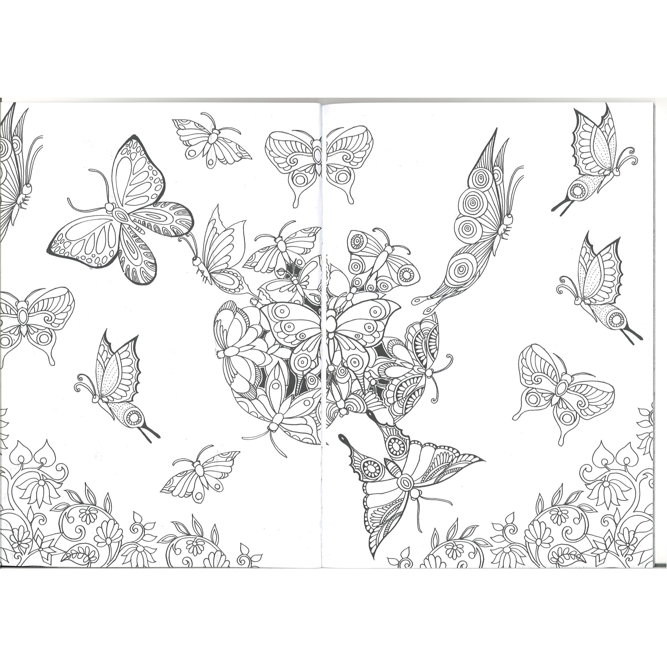 Adult Colouring Books - Mandala Adult Colouring Book - (Richard) - Beautiful Butterflies
