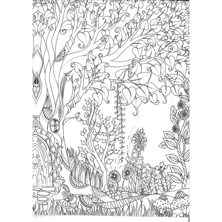 Adult Colouring Books - Mandala Adult Colouring Book - (Richard) - Beautiful Nature