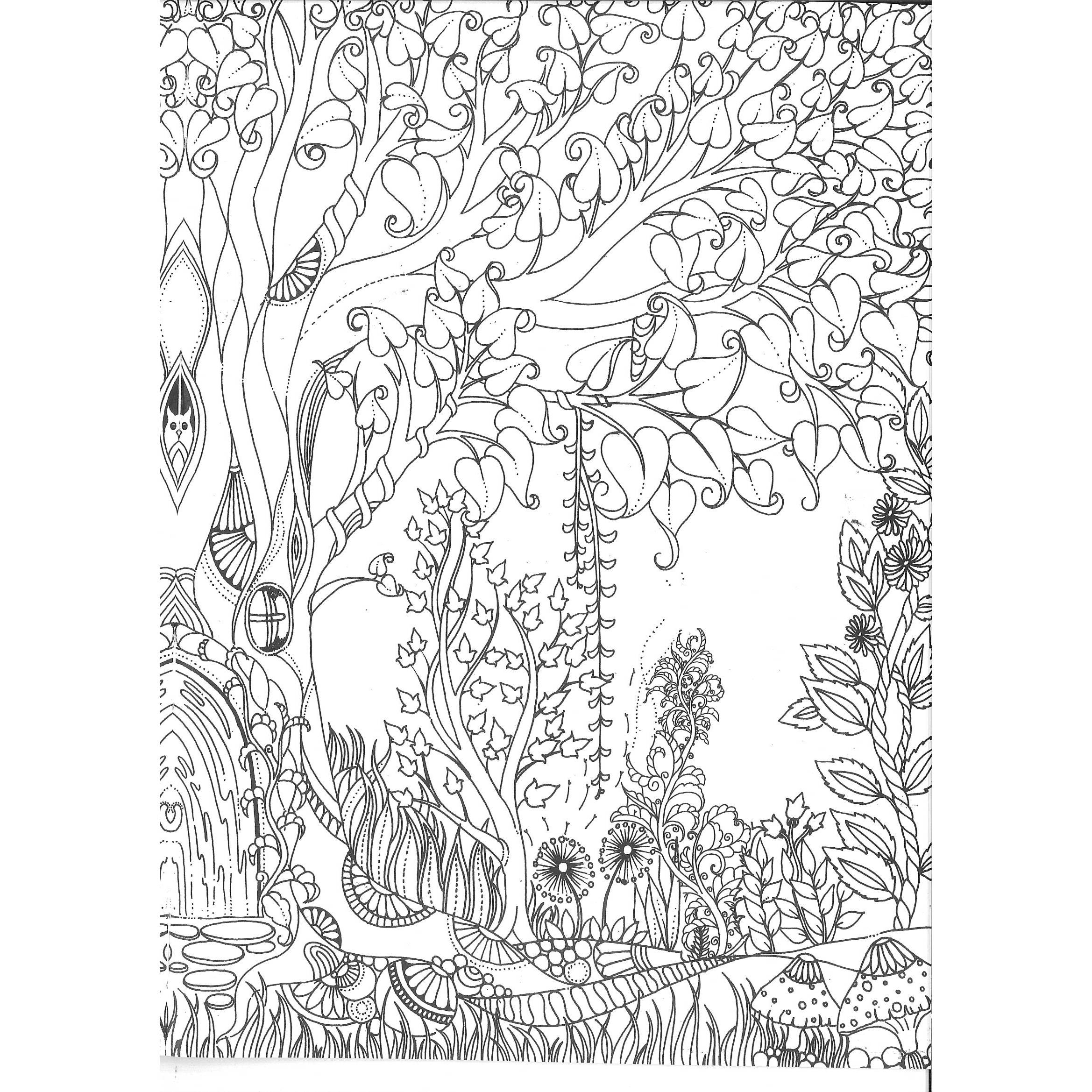 Adult Colouring Books - Mandala Adult Colouring Book - (Richard) - Flower Power