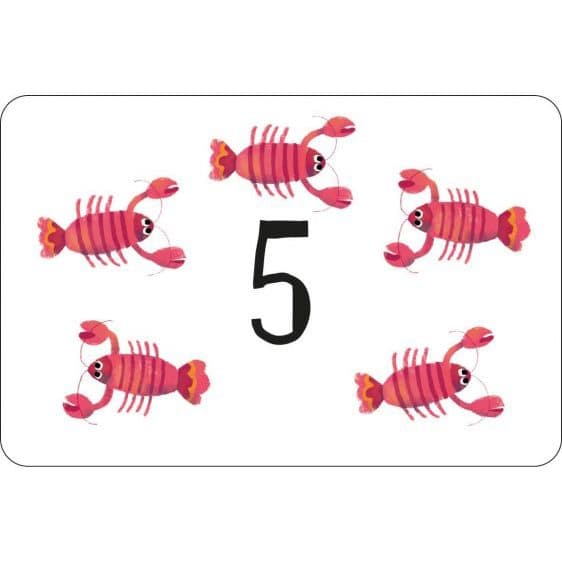 Miles Kelly - Times Tables Flashcards
