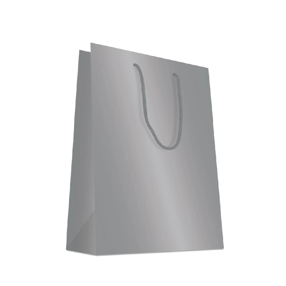 Gift Bag - Matte Silver Gift Bag - (Beaumont)