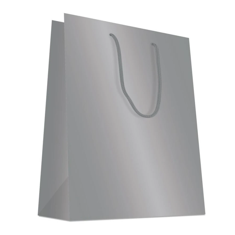 Gift Bag - Matte Silver Large Gift Bag - (Beaumont)