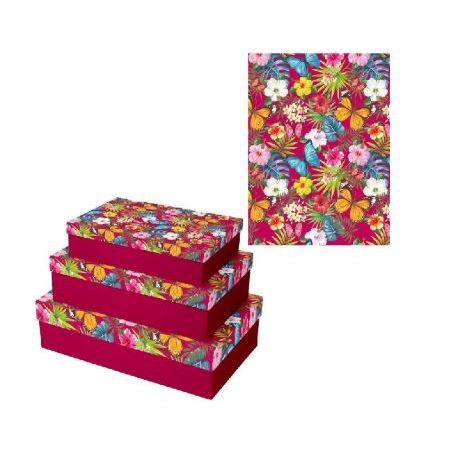 Eurowrap - 3 Pieces Gift Boxes - Large Boxes