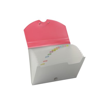 Files - A4 Expanding Organiser/Accordian File - (Aurora)