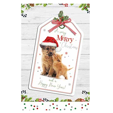Christmas and New Year Cards - (Belgian Greetings) - Puppy and Kitten