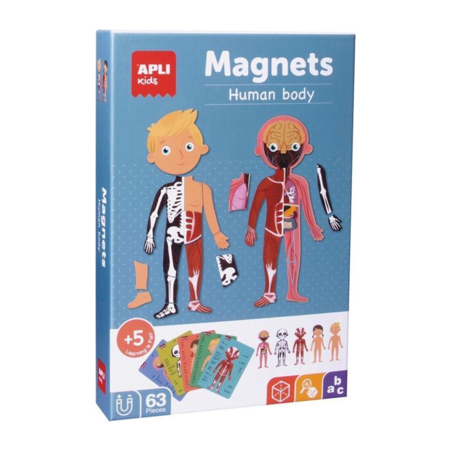 Human Body Magnets - (Apli)