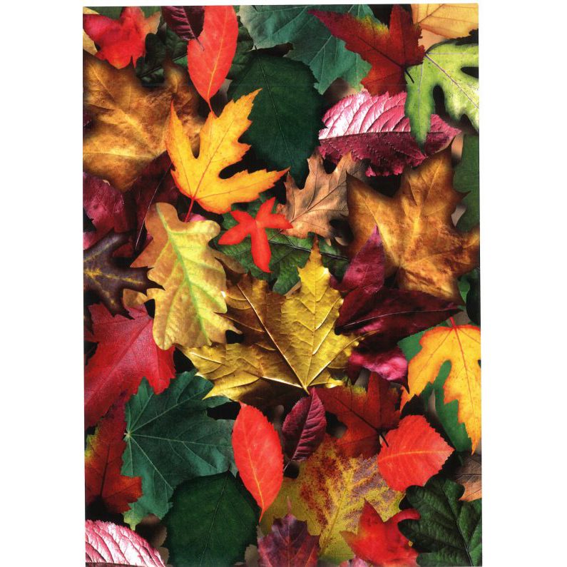Cardboard Paper - A4 Patterned Card Stock - Leaves