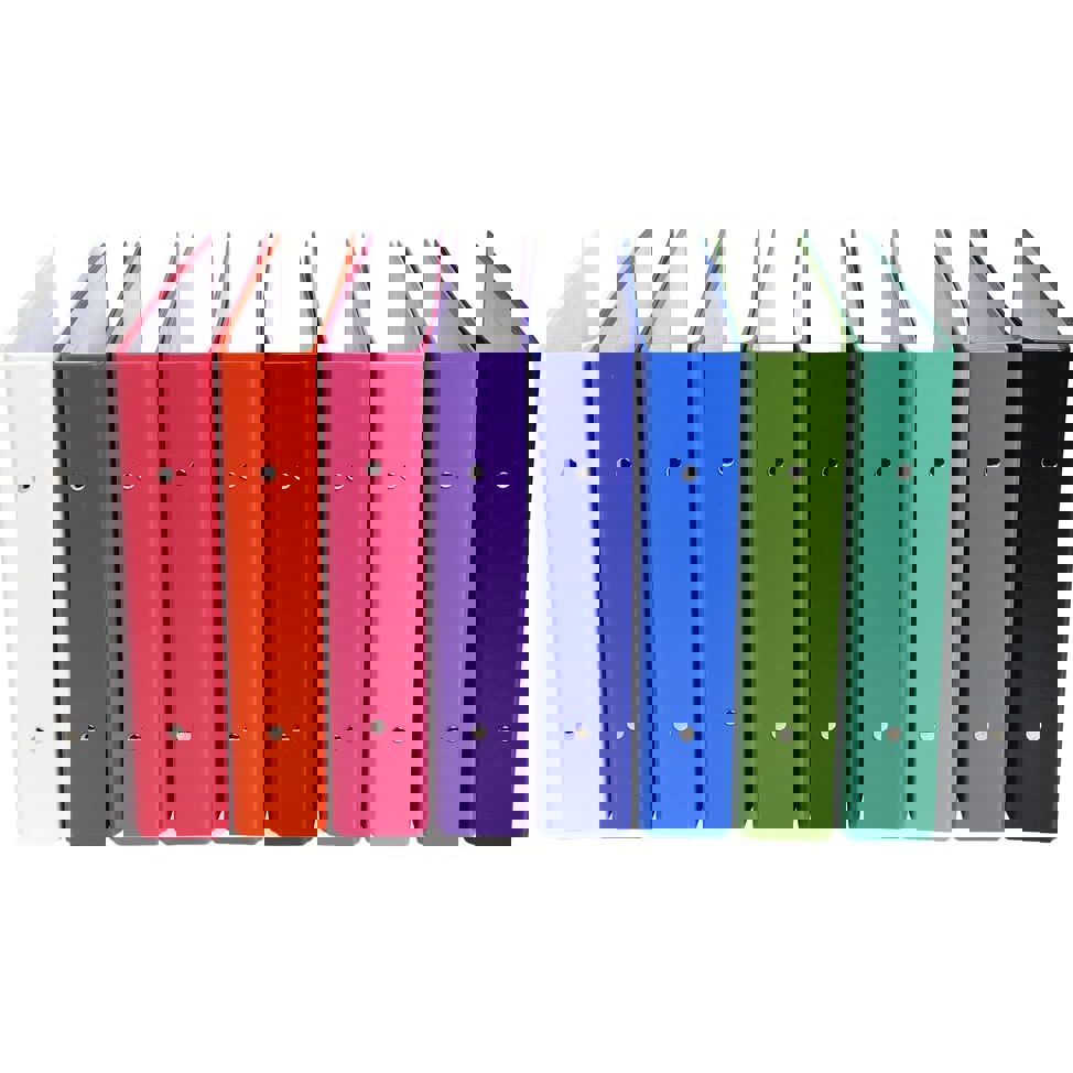 Files - 2 Ring File A4 Hardback - (Exacompta)