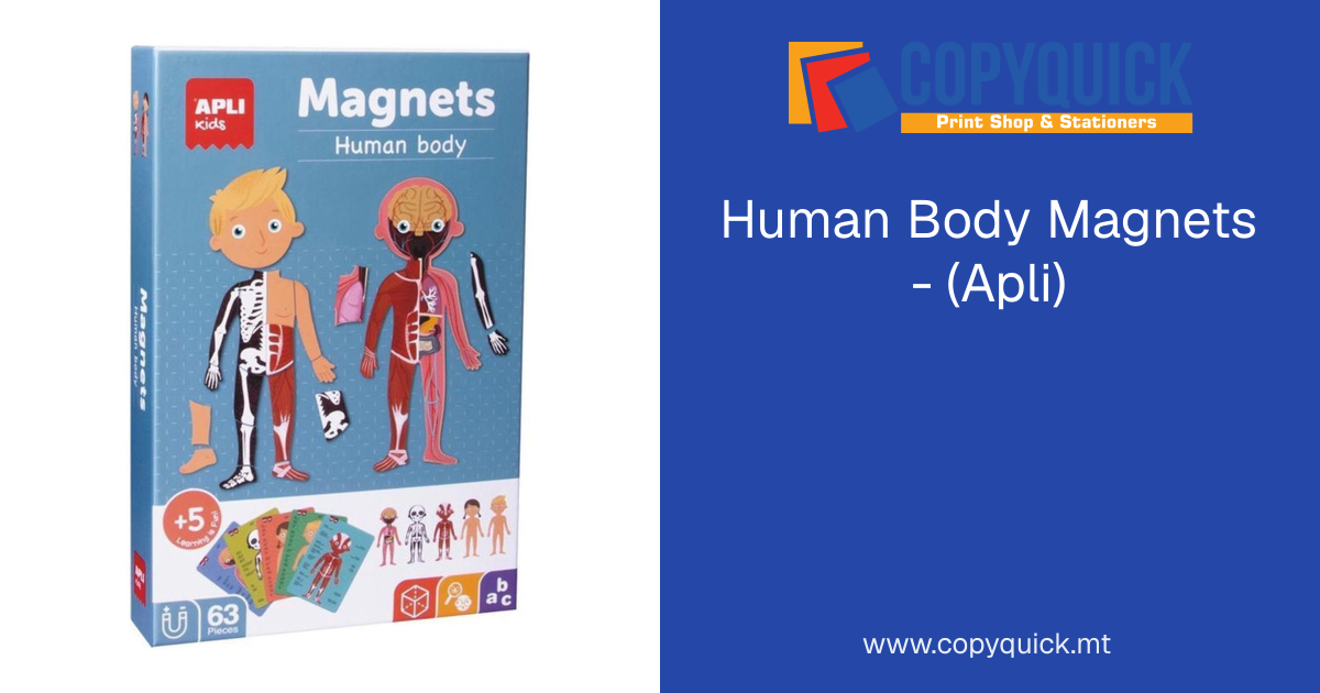 Human Body Magnets - (Apli) | CopyQuick